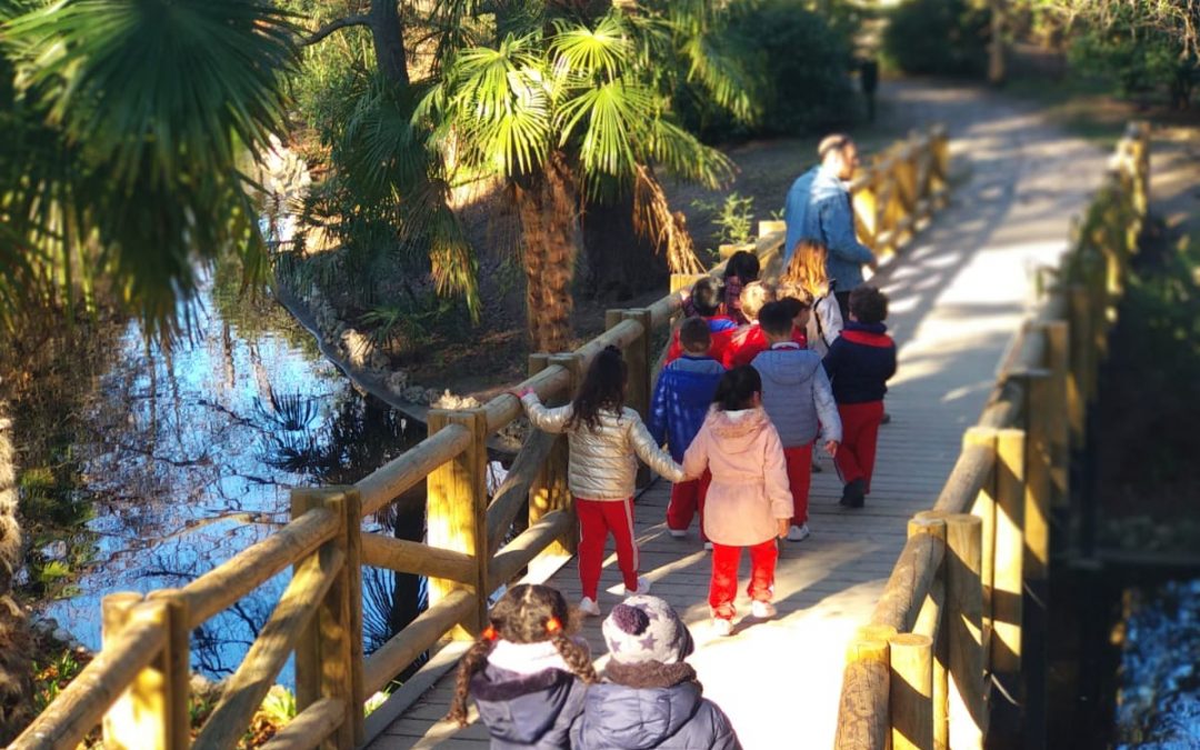 CABAÑA DEL RETIRO – 3º INFANTIL