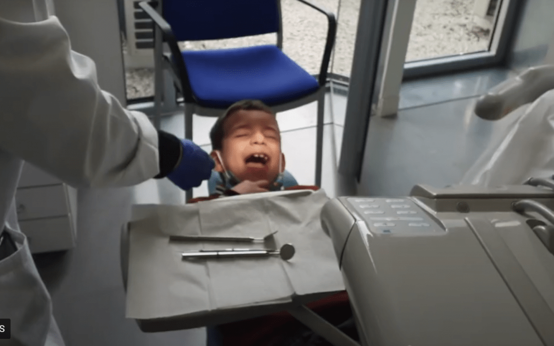 Salud bucodental-1º primaria